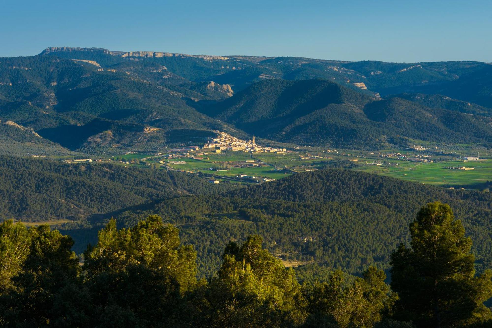 Torre Del Marques Hotel Spa & Winery - Small Luxury Hotels Монройо Екстер'єр фото