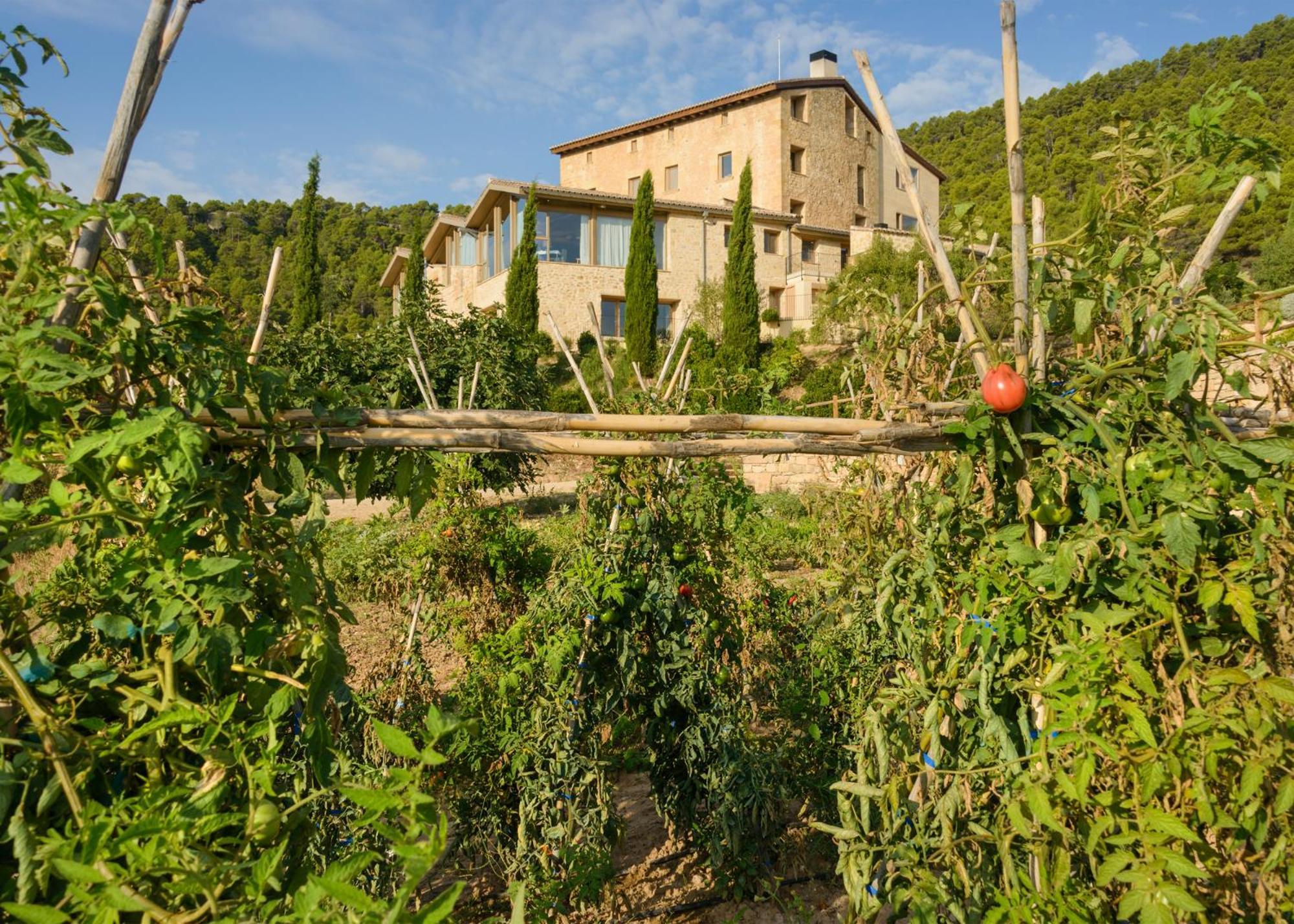 Torre Del Marques Hotel Spa & Winery - Small Luxury Hotels Монройо Екстер'єр фото
